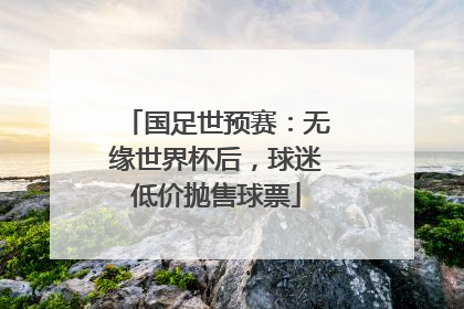 国足世预赛：无缘世界杯后，球迷低价抛售球票