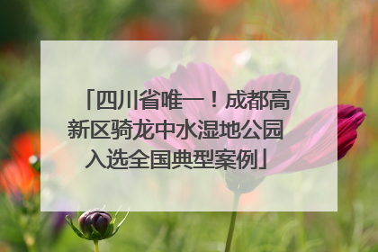 四川省唯一！成都高新区骑龙中水湿地公园入选全国典型案例