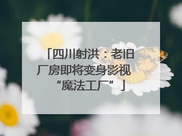 四川射洪：老旧厂房即将变身影视“魔法工厂”