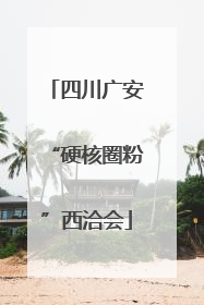 四川广安“硬核圈粉”西洽会