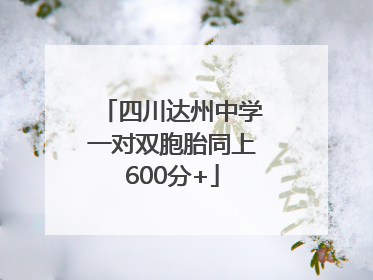 四川达州中学一对双胞胎同上600分+