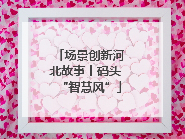 场景创新河北故事丨码头“智慧风”