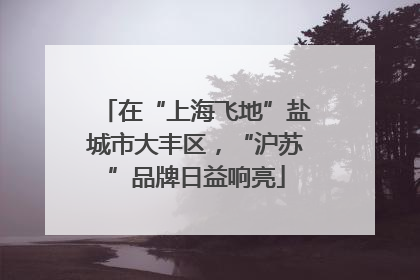 在“上海飞地”盐城市大丰区，“沪苏”品牌日益响亮