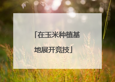 在玉米种植基地展开竞技