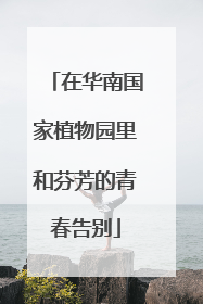 在华南国家植物园里和芬芳的青春告别