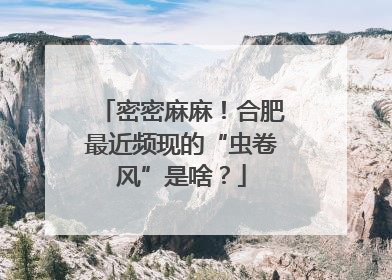 密密麻麻！合肥最近频现的“虫卷风”是啥？