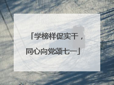 学榜样促实干，同心向党颂七一