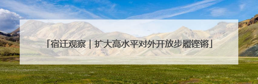 宿迁观察｜扩大高水平对外开放步履铿锵
