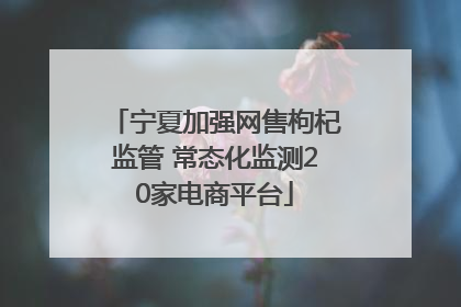 宁夏加强网售枸杞监管 常态化监测20家电商平台
