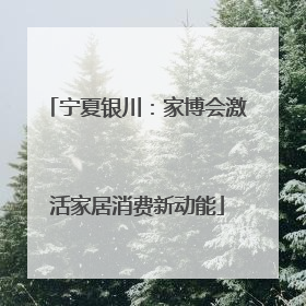 宁夏银川：家博会激活家居消费新动能