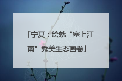 宁夏：绘就“塞上江南”秀美生态画卷