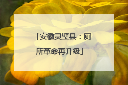 安徽灵璧县：厕所革命再升级