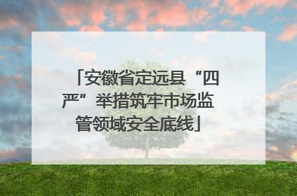 安徽省定远县“四严”举措筑牢市场监管领域安全底线