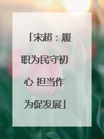 宋超：履职为民守初心 担当作为促发展