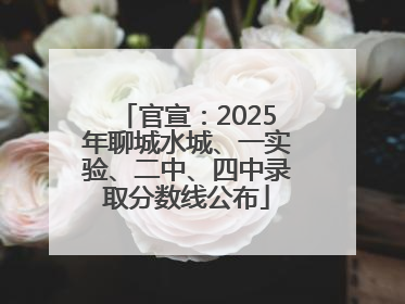 官宣：2025年聊城水城、一实验、二中、四中录取分数线公布