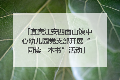 宜宾江安四面山镇中心幼儿园党支部开展“同读一本书”活动