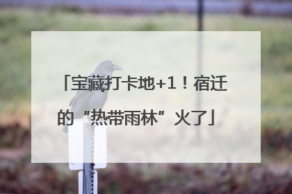 宝藏打卡地+1！宿迁的“热带雨林”火了
