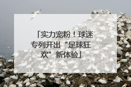 实力宠粉！球迷专列开出“足球狂欢”新体验
