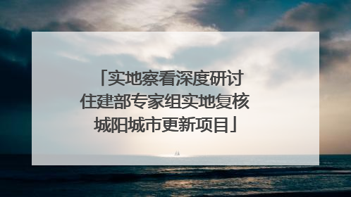 实地察看深度研讨 住建部专家组实地复核城阳城市更新项目
