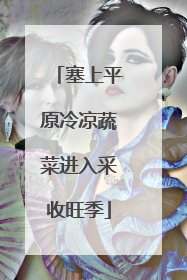 塞上平原冷凉蔬菜进入采收旺季