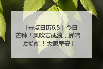 壹点日历6.5｜今日芒种！风吹麦成浪，蝉鸣夏始忙！大家早安