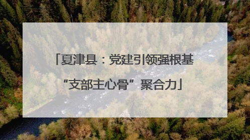 夏津县：党建引领强根基 “支部主心骨”聚合力