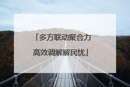 多方联动聚合力 高效调解解民忧
