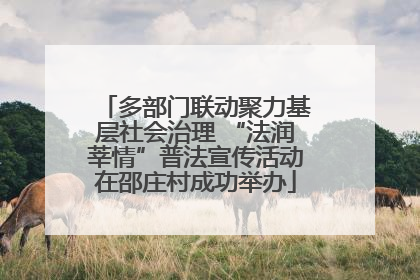 多部门联动聚力基层社会治理 “法润莘情”普法宣传活动在邵庄村成功举办