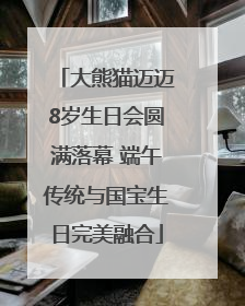 大熊猫迈迈8岁生日会圆满落幕 端午传统与国宝生日完美融合