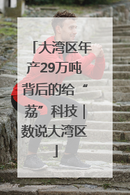 大湾区年产29万吨背后的给“荔”科技｜数说大湾区