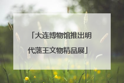 大连博物馆推出明代藩王文物精品展