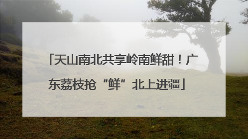 天山南北共享岭南鲜甜！广东荔枝抢“鲜”北上进疆