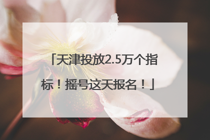 天津投放2.5万个指标！摇号这天报名！