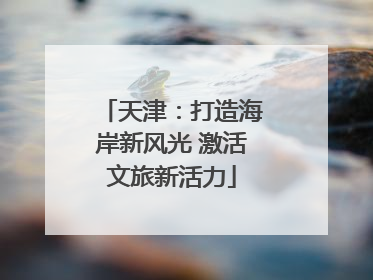 天津：打造海岸新风光 激活文旅新活力