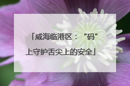 威海临港区：“码”上守护舌尖上的安全