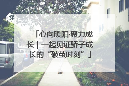 心向暖阳·聚力成长｜一起见证骄子成长的“破茧时刻”