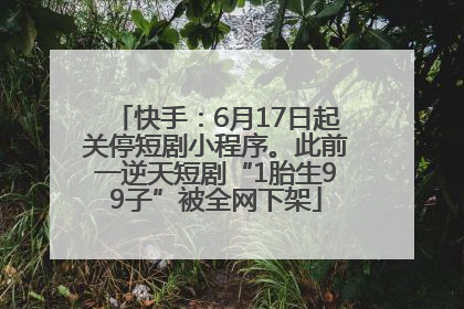 快手：6月17日起关停短剧小程序。此前一逆天短剧“1胎生99子”被全网下架