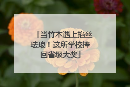 当竹木遇上掐丝珐琅！这所学校捧回省级大奖