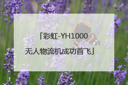 彩虹-YH1000无人物流机成功首飞