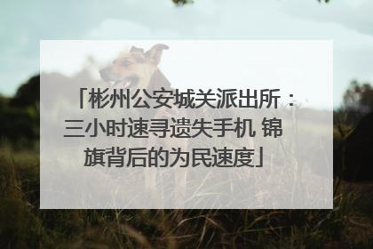 彬州公安城关派出所：三小时速寻遗失手机 锦旗背后的为民速度