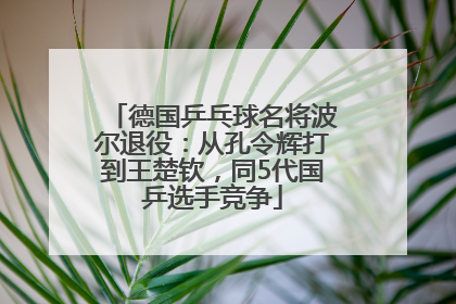 德国乒乓球名将波尔退役：从孔令辉打到王楚钦，同5代国乒选手竞争