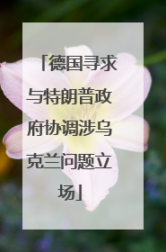 德国寻求与特朗普政府协调涉乌克兰问题立场