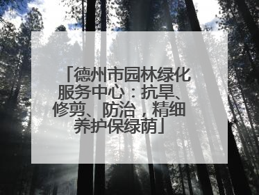 德州市园林绿化服务中心：抗旱、修剪、防治，精细养护保绿荫