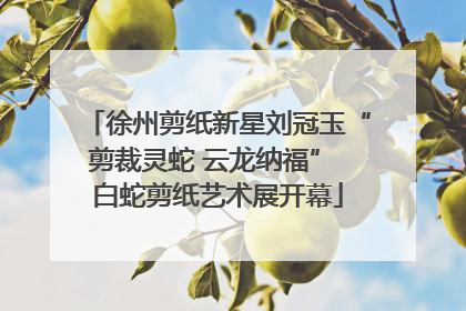 徐州剪纸新星刘冠玉“剪裁灵蛇 云龙纳福” 白蛇剪纸艺术展开幕