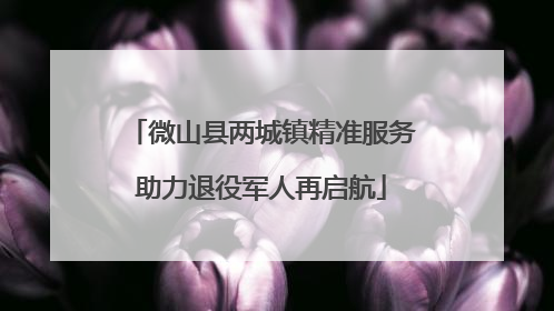 微山县两城镇精准服务助力退役军人再启航