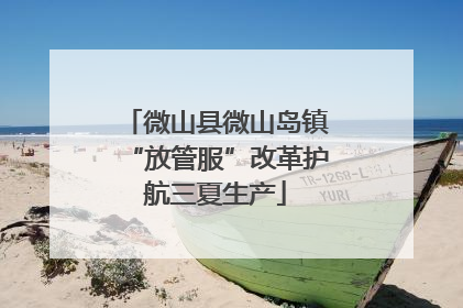 微山县微山岛镇“放管服”改革护航三夏生产