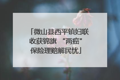 微山县西平镇妇联收获锦旗 “两癌”保险理赔解民忧