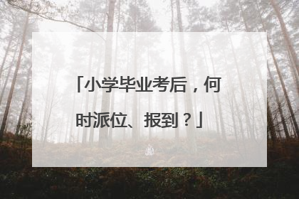 小学毕业考后，何时派位、报到？