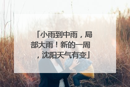小雨到中雨，局部大雨！新的一周，沈阳天气有变
