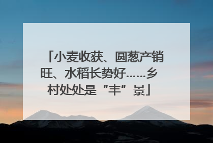 小麦收获、圆葱产销旺、水稻长势好……乡村处处是“丰”景